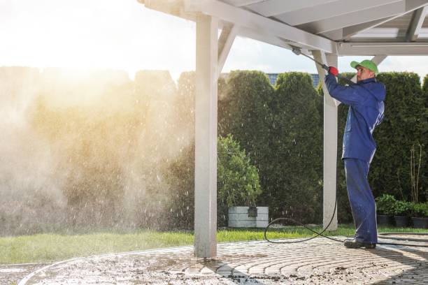 Best Animal Enclosure Cleaning  in Connelly Springs, NC
